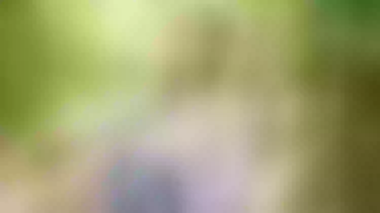 Live sex webcam photo for ScarlettZhen #7903411