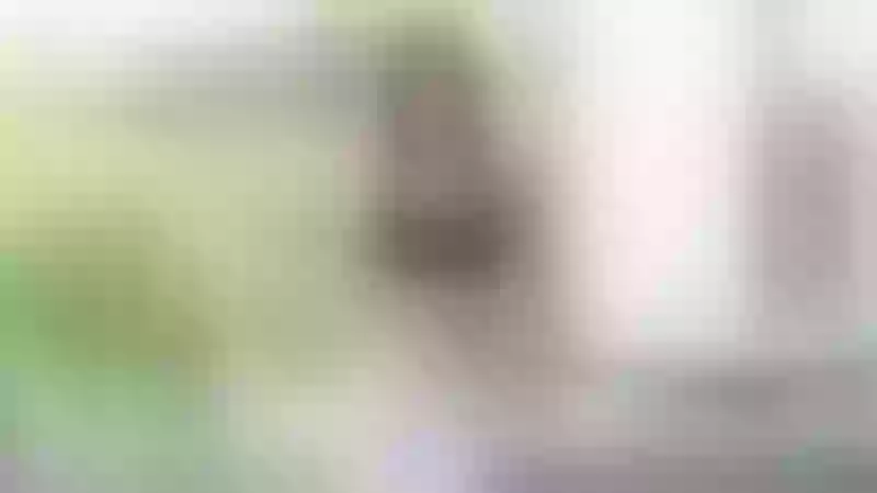 Live sex webcam photo for ScarlettZhen #7903908