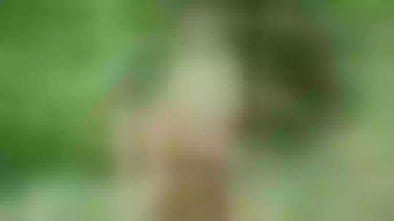 Live sex webcam photo for ScarlettZhen #7903419