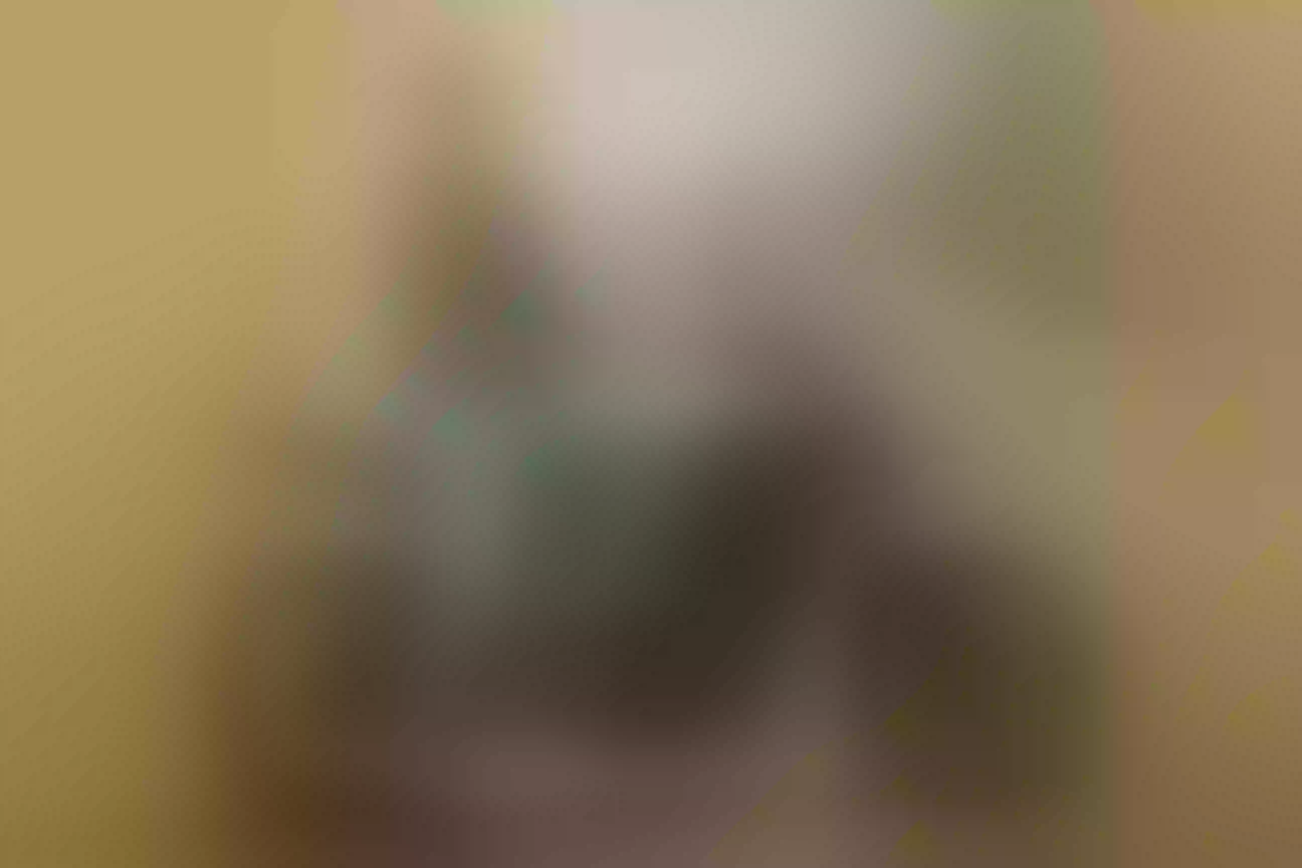 Live sex webcam photo for JHONALDSW #7862161