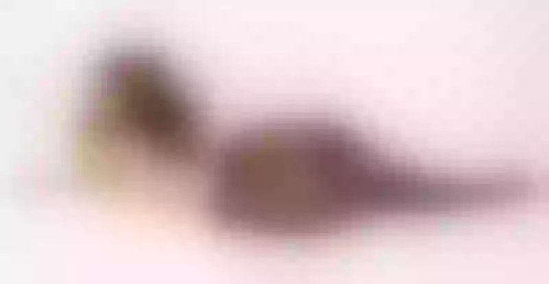 Live sex webcam photo for KathyBlayer #4044283