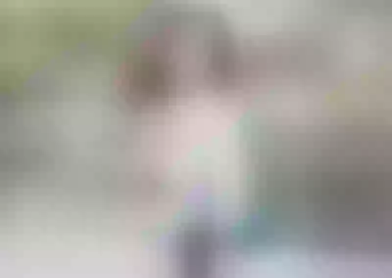 Live sex webcam photo for KathyBlayer #3439325
