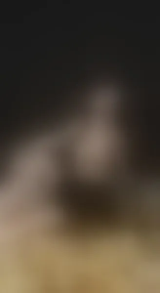 Live sex webcam photo for VivianneLacroix #4050854