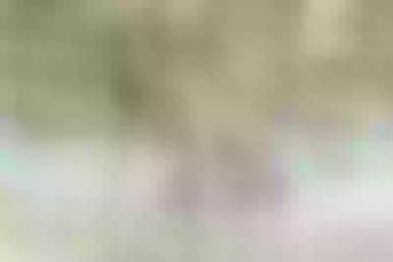 Live sex webcam photo for CarolBrooke #3437868