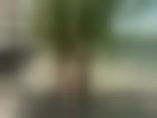 Live sex webcam photo for Amarantagb #8257666