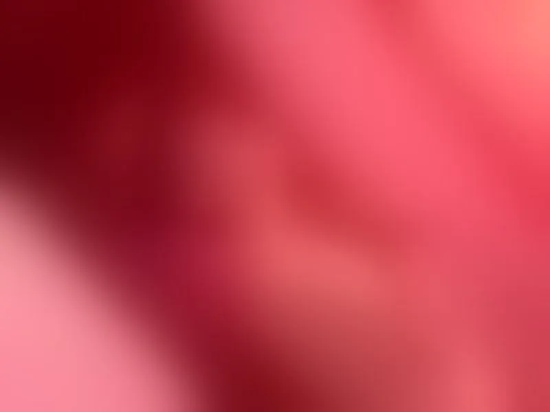 Live sex webcam photo for dennisftm #3468931