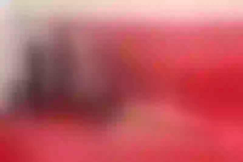 Live sex webcam photo for FoxyEving #3463992