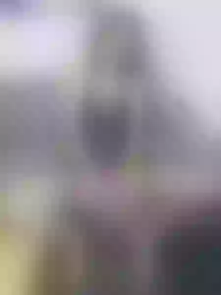 Live sex webcam photo for CloeCandy #4200212
