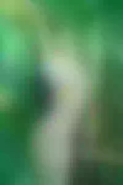 Live sex webcam photo for ShinyAlette #4106070