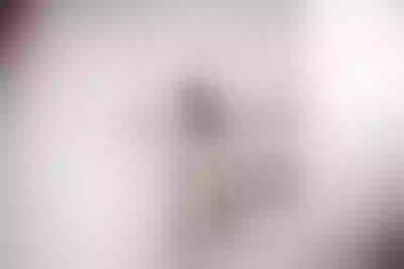 Live sex webcam photo for Ariannha #3458119