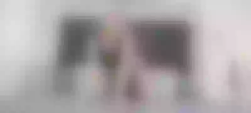Live sex webcam photo for GabyHills #3465982