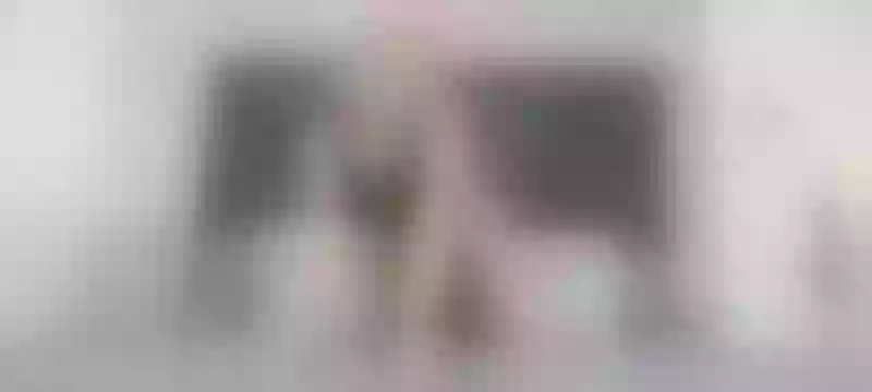 Live sex webcam photo for GabyHills #3465985