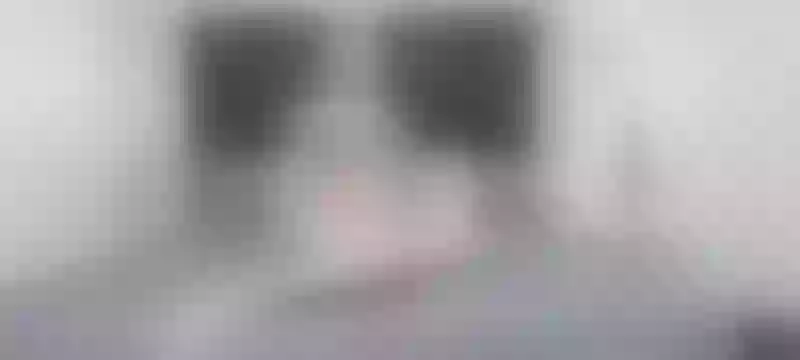 Live sex webcam photo for GabyHills #3466002