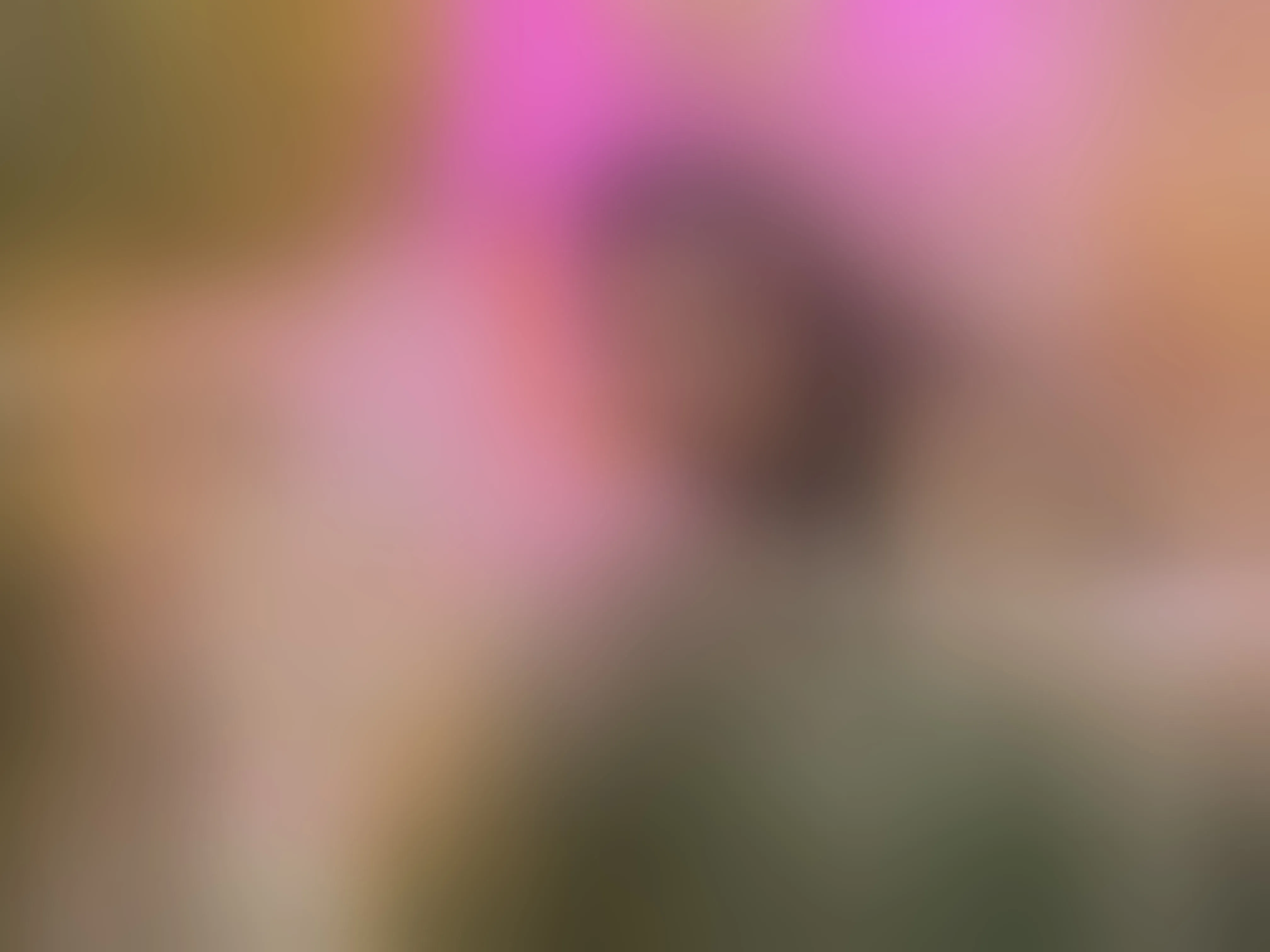 Live sex webcam photo for EmmaCrush #8351533