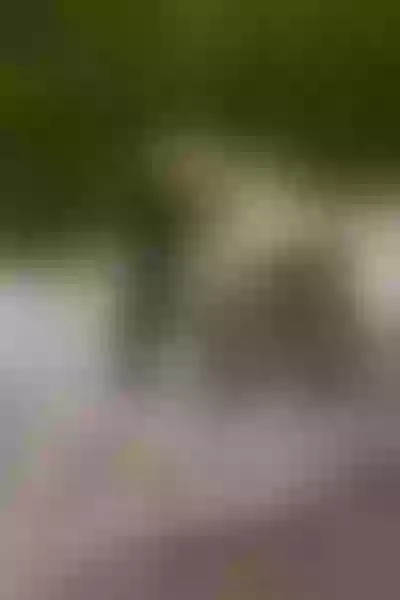 Live sex webcam photo for SophiiaCollinns #3475571