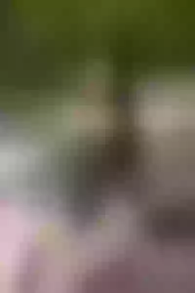 Live sex webcam photo for SophiiaCollinns #3475565