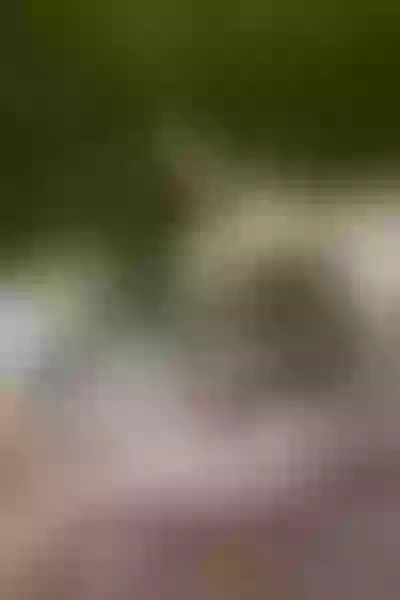 Live sex webcam photo for SophiiaCollinns #3475573