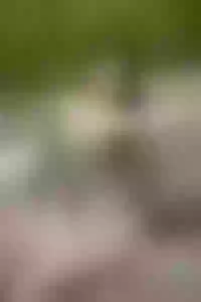Live sex webcam photo for SophiiaCollinns #3475567