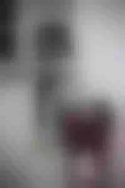 Live sex webcam photo for lysacollinss20 #3582816