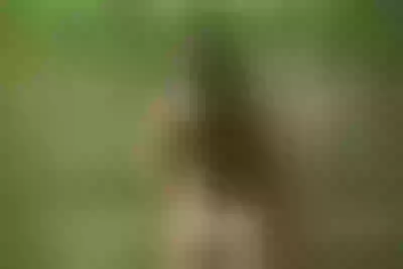 Live sex webcam photo for KarlaMarquez #3517642