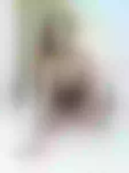 Live sex webcam photo for SarahLorenz #3529989