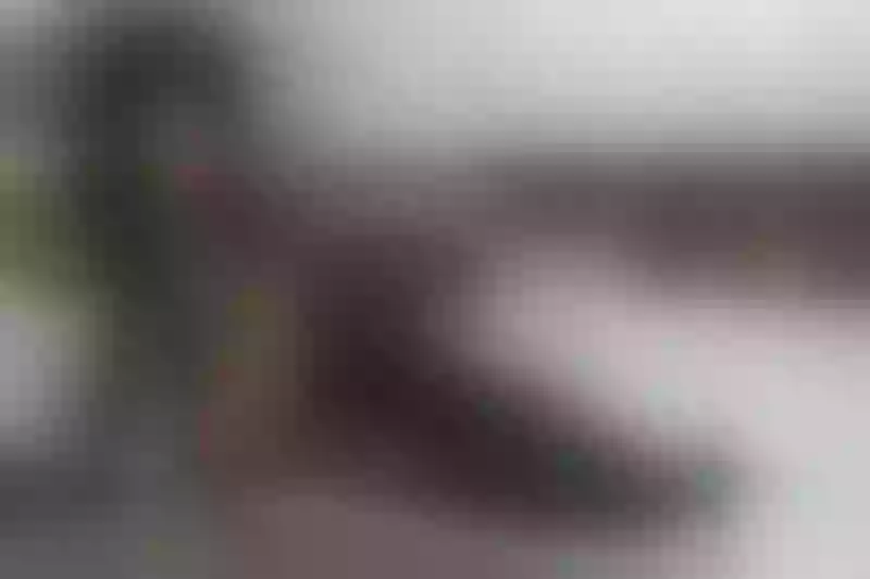 Live sex webcam photo for LorenRoberts #3582867