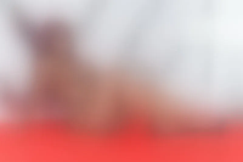Live sex webcam photo for MistyHazel #3518329