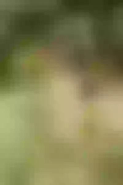 Live sex webcam photo for ViolettaK #7370359
