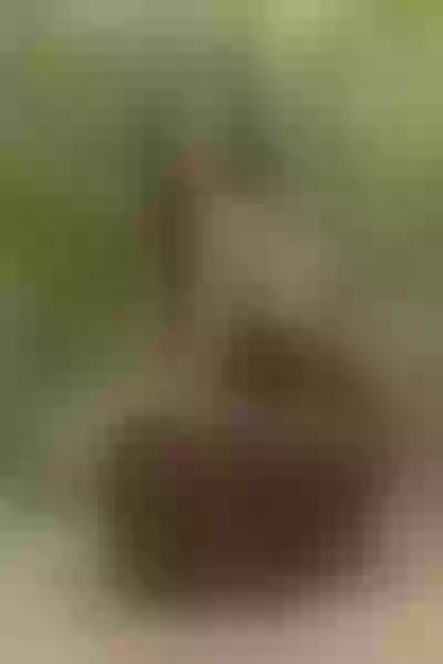 Live sex webcam photo for ViolettaK #7370373