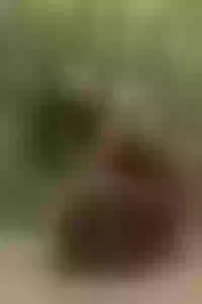 Live sex webcam photo for ViolettaK #7370371