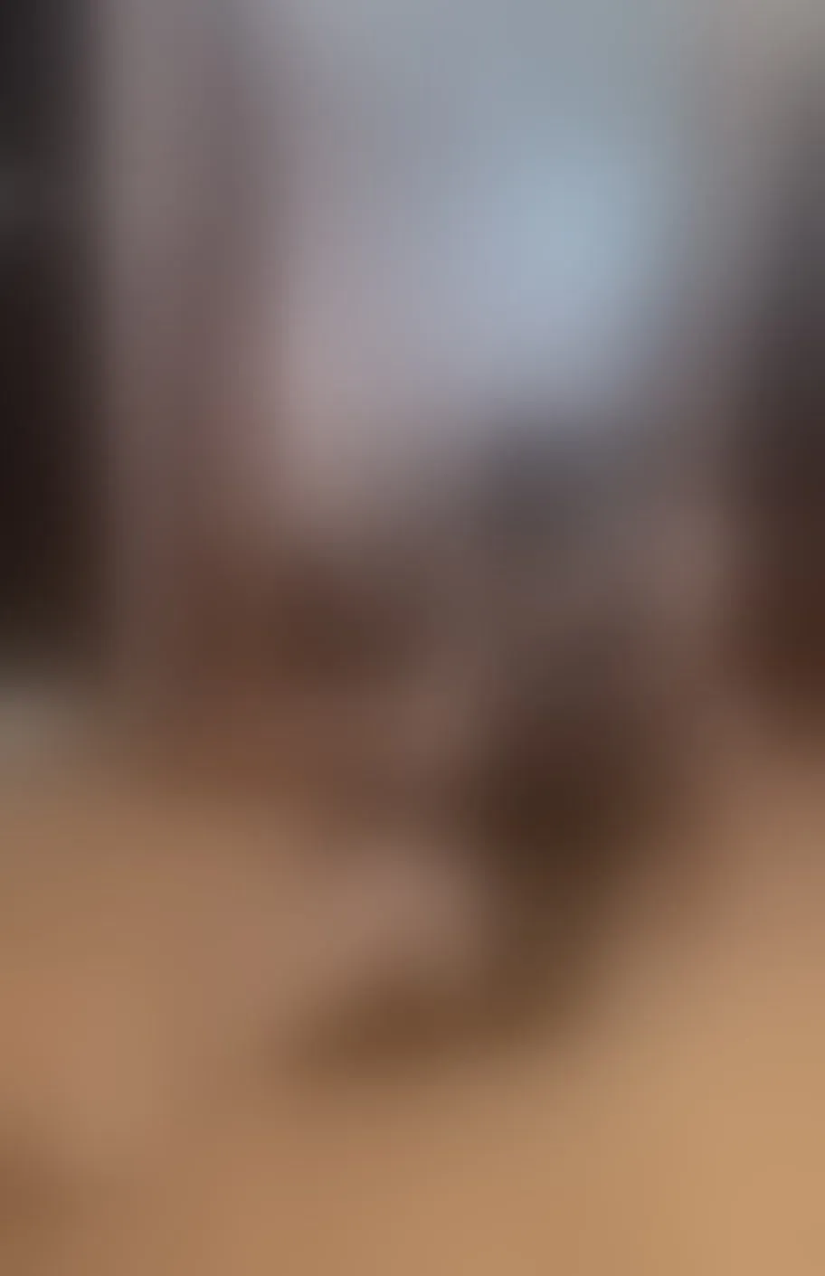 Live sex webcam photo for ScarleetJonson #8240533