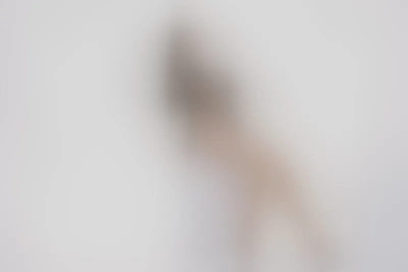 Live sex webcam photo for LuciianaTaylor #6599132
