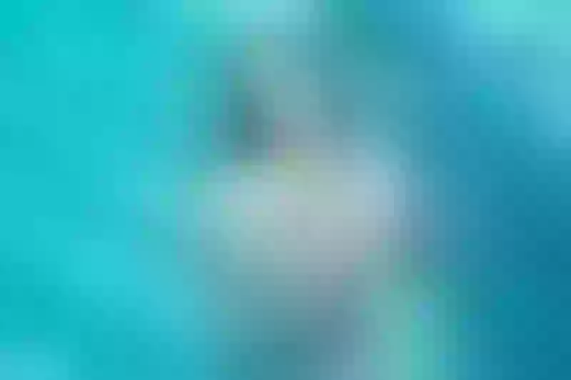 Live sex webcam photo for PlasmaticGirl #4242209