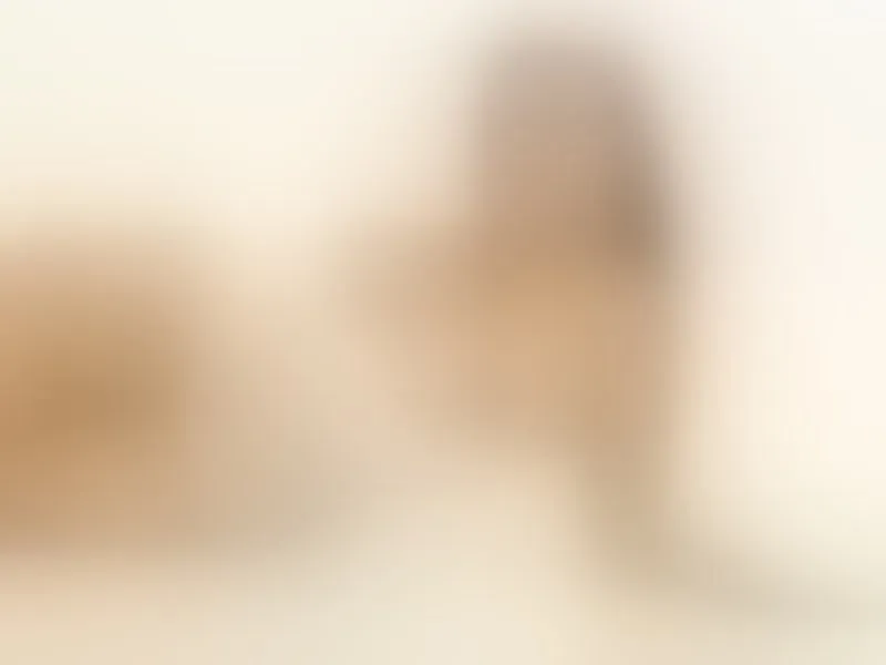 Live sex webcam photo for AmbarLin #5481257
