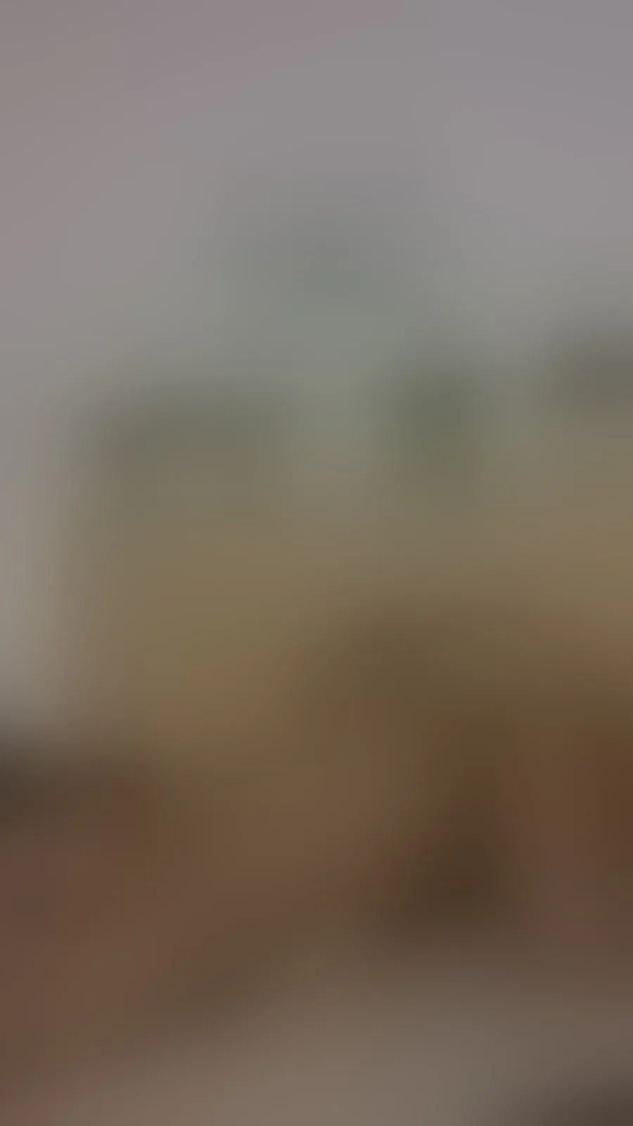 Live sex webcam photo for SexyNightBM #7421005