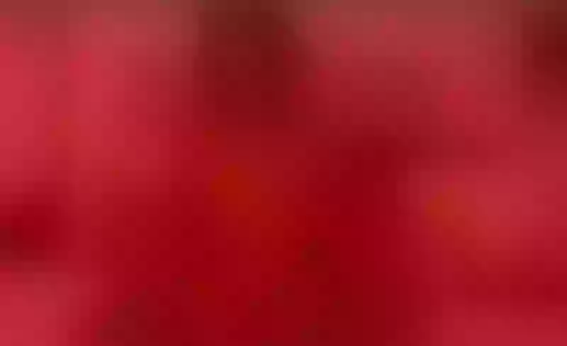 Live sex webcam photo for SamiaSmitn #5864505