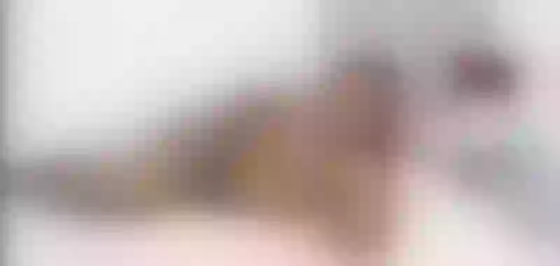 Live sex webcam photo for SamiaSmitn #6123734