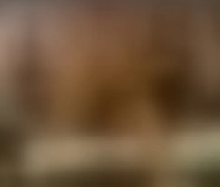 Live sex webcam photo for SamiaSmitn #3616126
