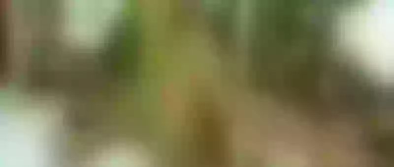 Live sex webcam photo for SamiaSmitn #3737107