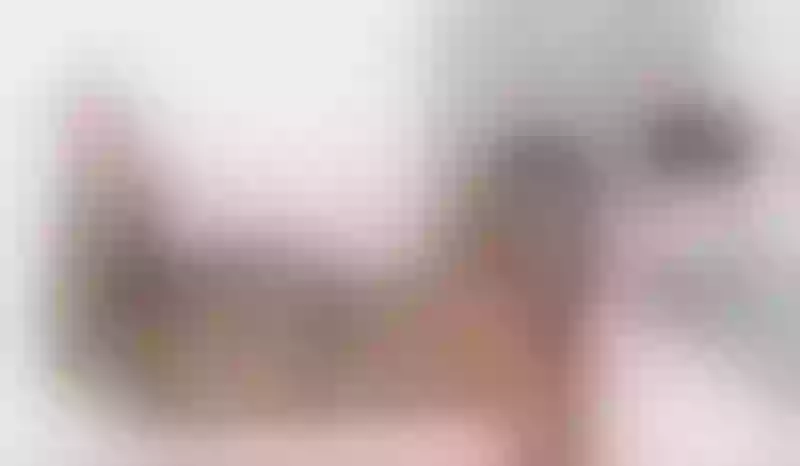 Live sex webcam photo for SamiaSmitn #6123735