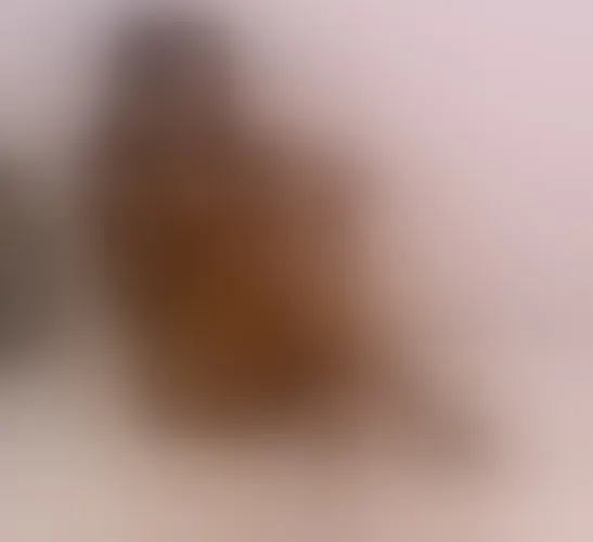 Live sex webcam photo for SamiaSmitn #3766735