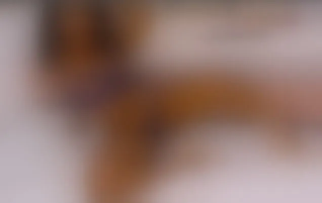 Live sex webcam photo for SamiaSmitn #3841087