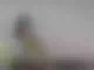 Live sex webcam photo for SalmaNahara #4100678