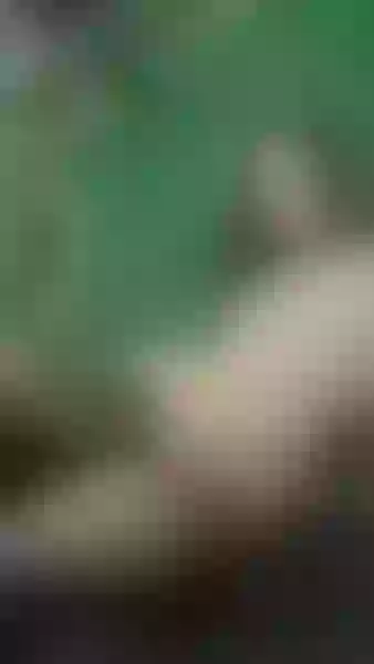 Live sex webcam photo for HannaCopper #6254840