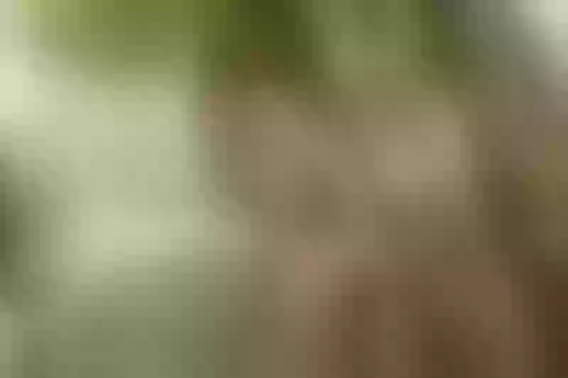 Live sex webcam photo for LenaMurillo #6056882