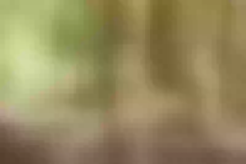 Live sex webcam photo for LenaMurillo #6056879