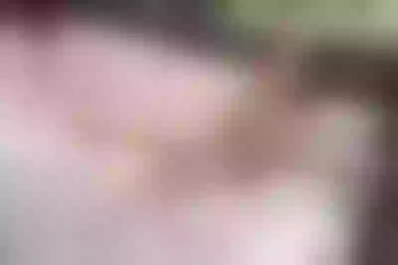 Live sex webcam photo for EmilyMillan #4073779