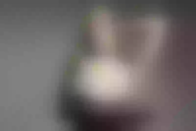 Live sex webcam photo for EmilyMillan #6420940