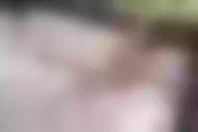 Live sex webcam photo for EmilyMillan #4073778