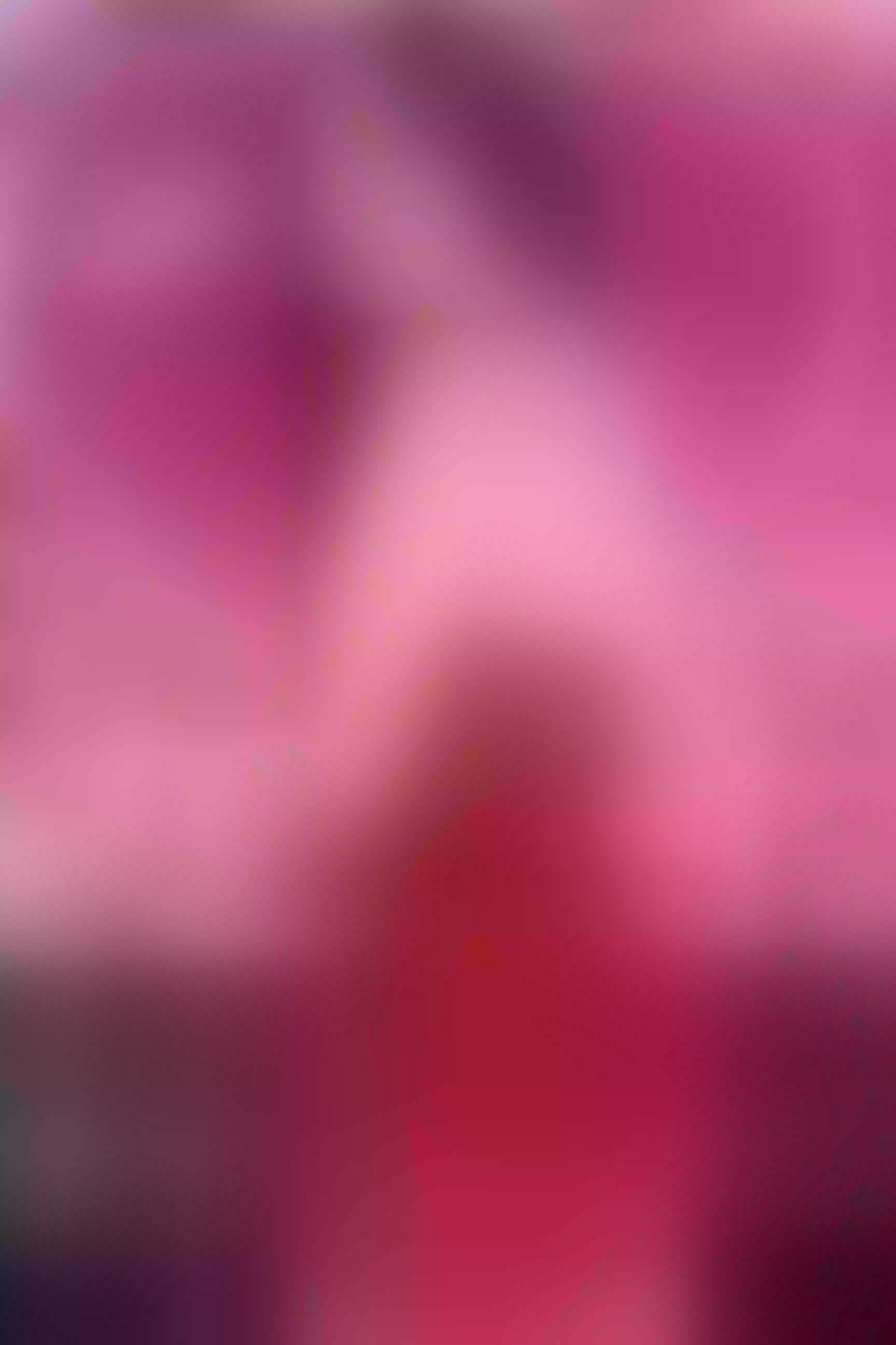 Live sex webcam photo for EmmaWilliaamss #6140480